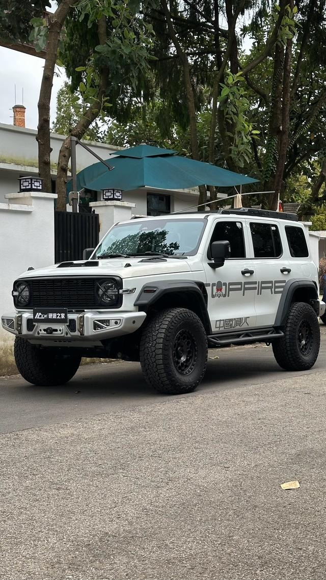 Tank 300 2025 2.4T Diesel Edition